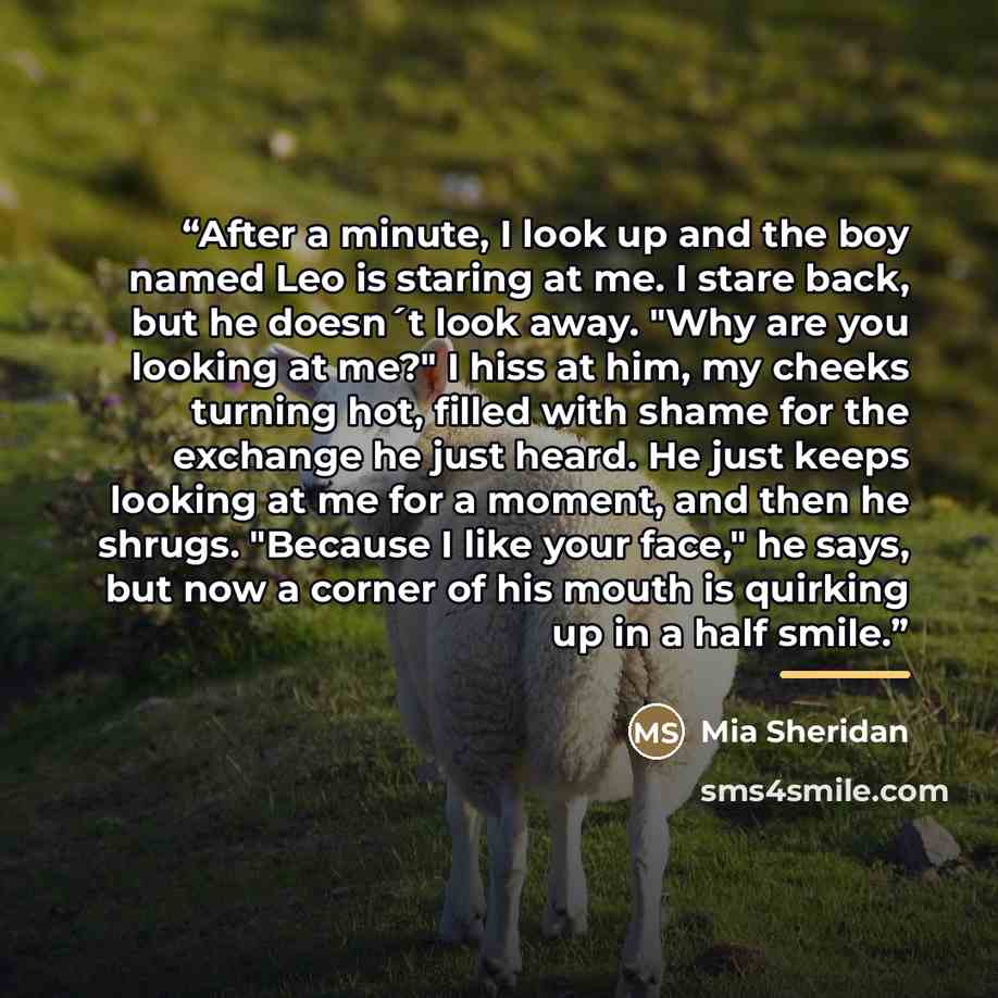 “After a minute, I look up and the boy named Leo is staring at me. I stare back, but he doesn´t look away. "Why are you looking at me?" I hiss at him, my cheeks turning hot, filled with shame for the exchange he just heard. He just keeps looking at me for a moment, and then he shrugs. "Because I…” quote by Mia Sheridan