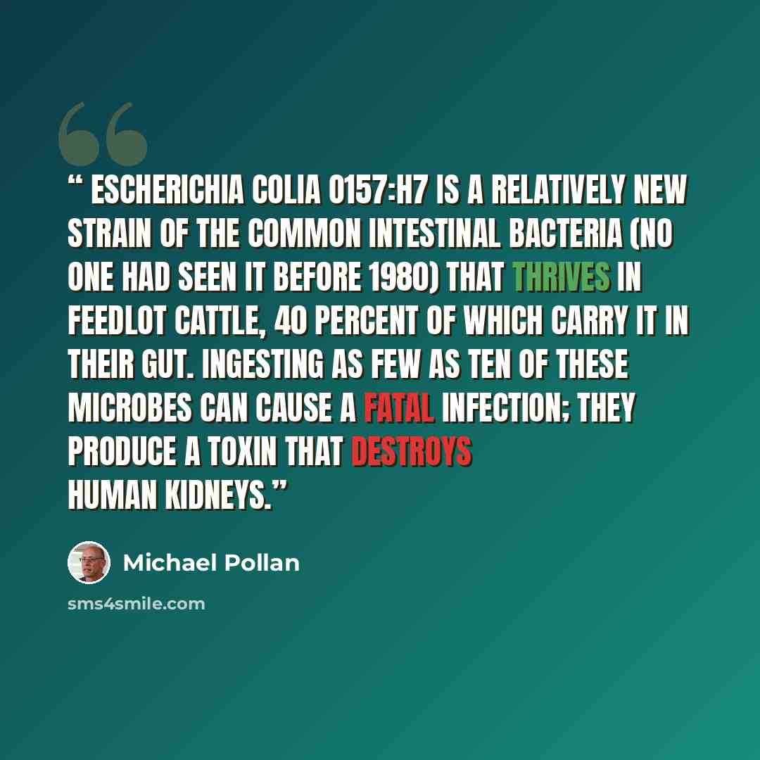 “Escherichia colia O157:H7 is a relatively new strain of the common intestinal bacteria (no one had seen it before 1980) that thrives in feedlot cattle, 40 percent of which carry it in their gut. Ingesting as few as ten of these microbes can cause a fatal infection; they produce a toxin that…” quote by Michael Pollan