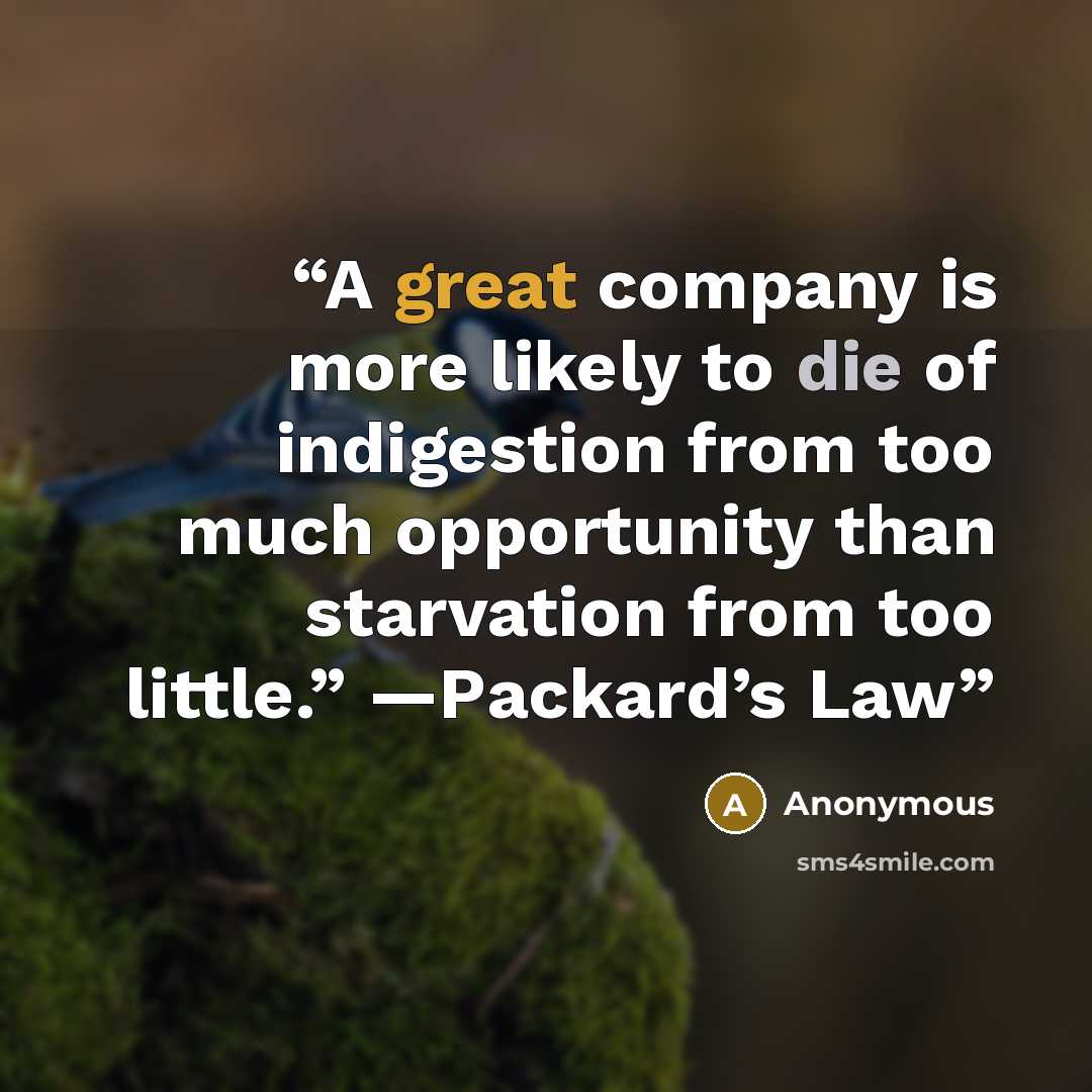 “A great company is more likely to die of indigestion from too much opportunity than starvation from too little.” —Packard’s Law” quote by Anonymous