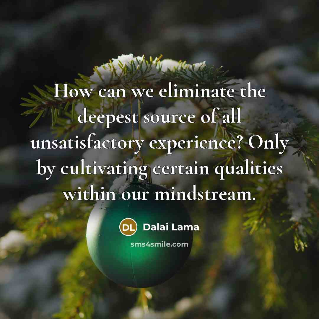 “How can we eliminate the deepest source of all unsatisfactory experience? Only by cultivating certain qualities within our mindstream.” quote by Dalai Lama
