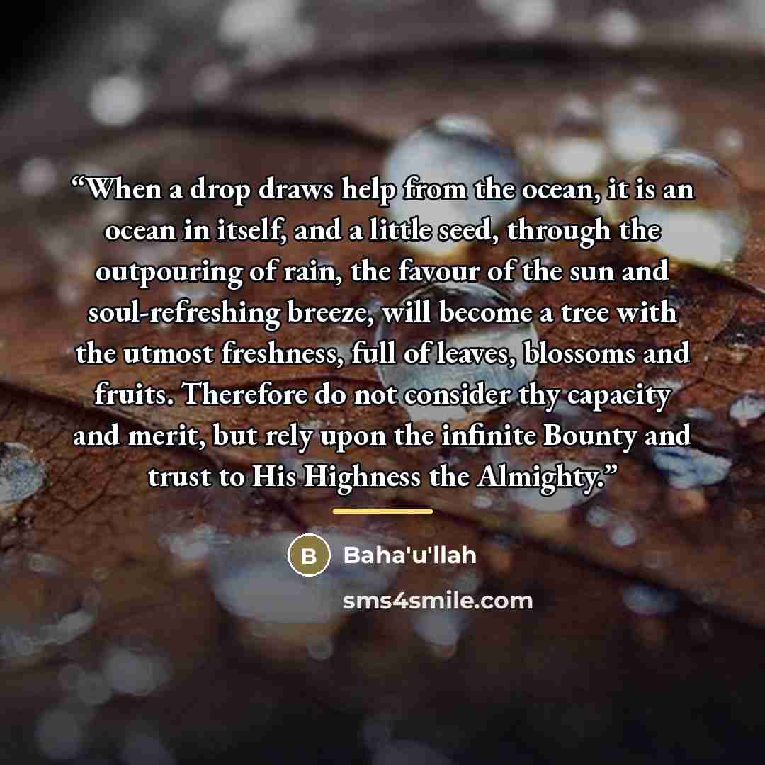 “When a drop draws help from the ocean, it is an ocean in itself, and a little seed, through the outpouring of rain, the favour of the sun and soul-refreshing breeze, will become a tree with the utmost freshness, full of leaves, blossoms and fruits. Therefore do not consider thy capacity and merit…” quote by Bahá'u'lláh