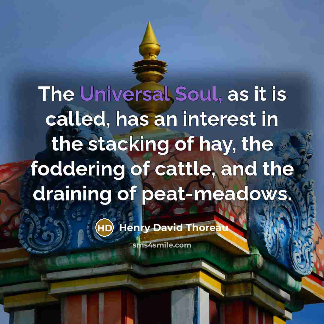 “The Universal Soul, as it is called, has an interest in the stacking of hay, the foddering of cattle, and the draining of peat-meadows.” quote by Henry David Thoreau