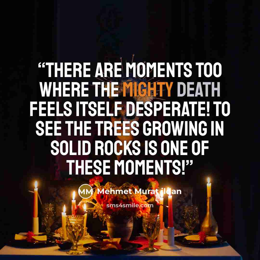 “There are moments too where the mighty death feels itself desperate! To see the trees growing in solid rocks is one of these moments!” quote by Mehmet Murat ildan