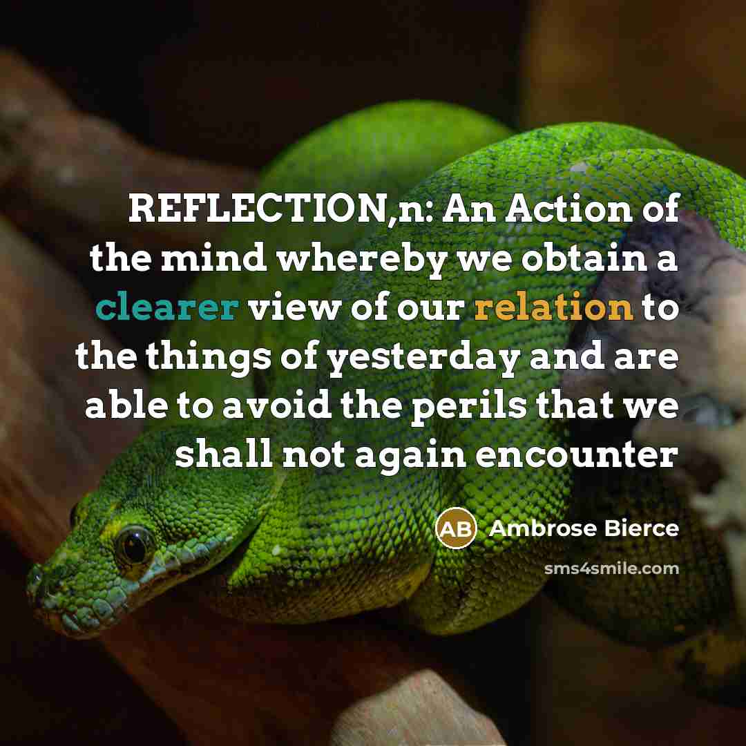“REFLECTION,n: An Action of the mind whereby we obtain a clearer view of our relation to the things of yesterday and are able to avoid the perils that we shall not again encounter” quote by Ambrose Bierce