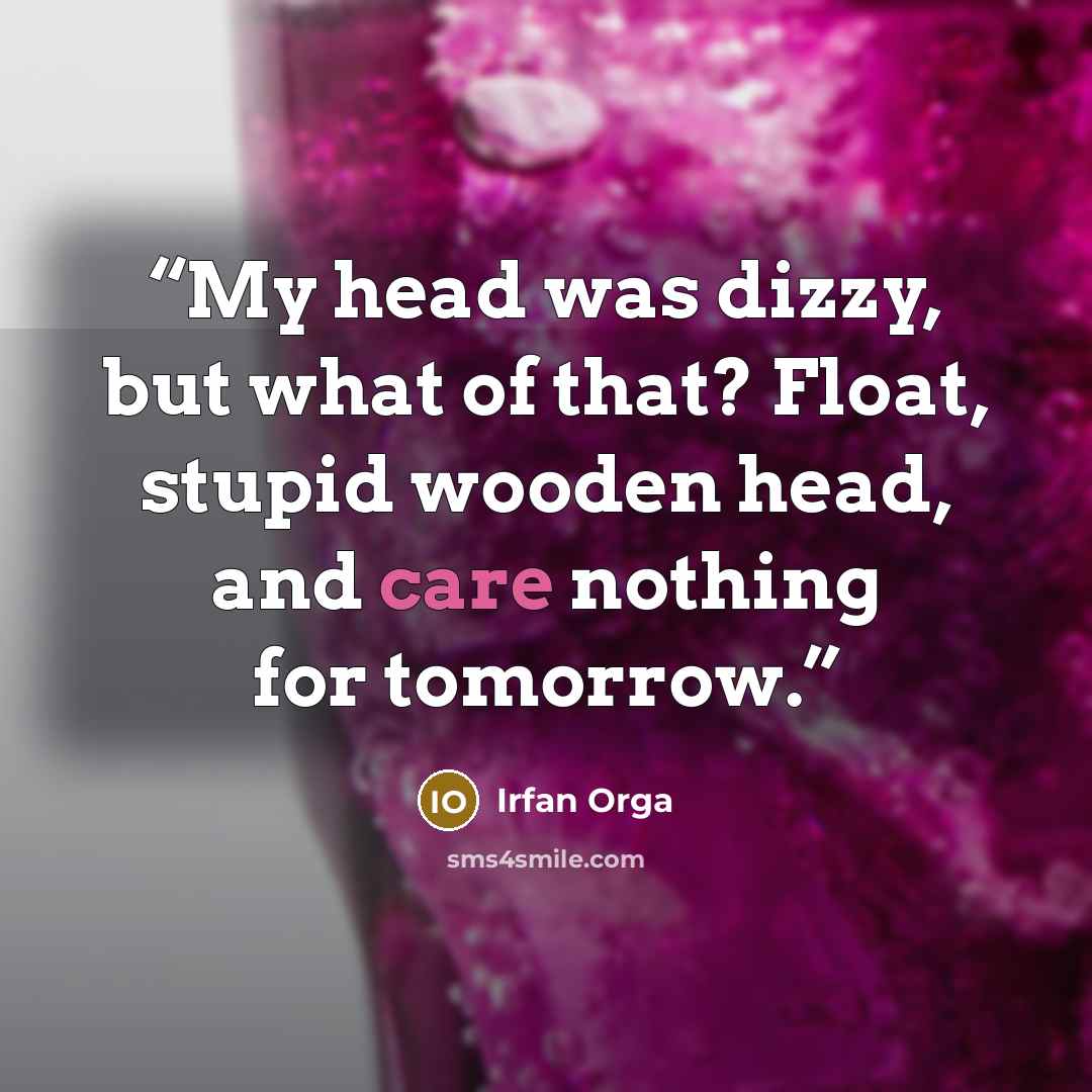 “My head was dizzy, but what of that? Float, stupid wooden head, and care nothing for tomorrow.” quote by Irfan Orga