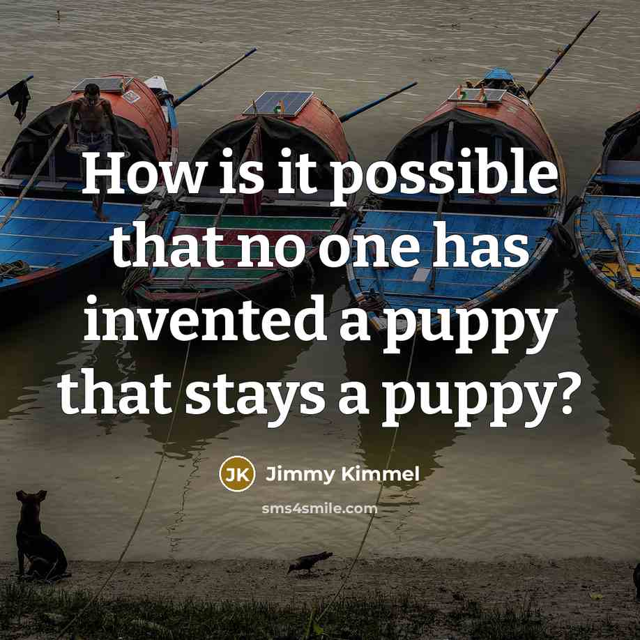 “How is it possible that no one has invented a puppy that stays a puppy?” quote by Jimmy Kimmel
