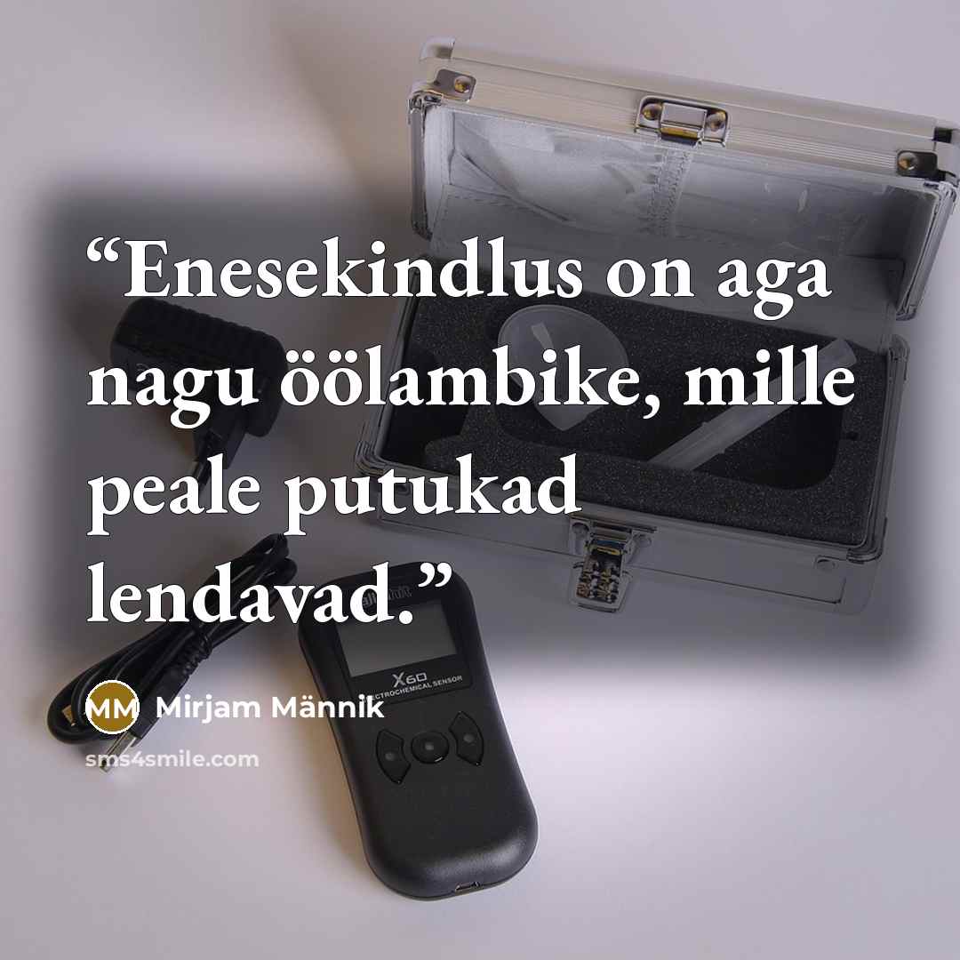 “Enesekindlus on aga nagu öölambike, mille peale putukad lendavad.” quote by Mirjam Männik