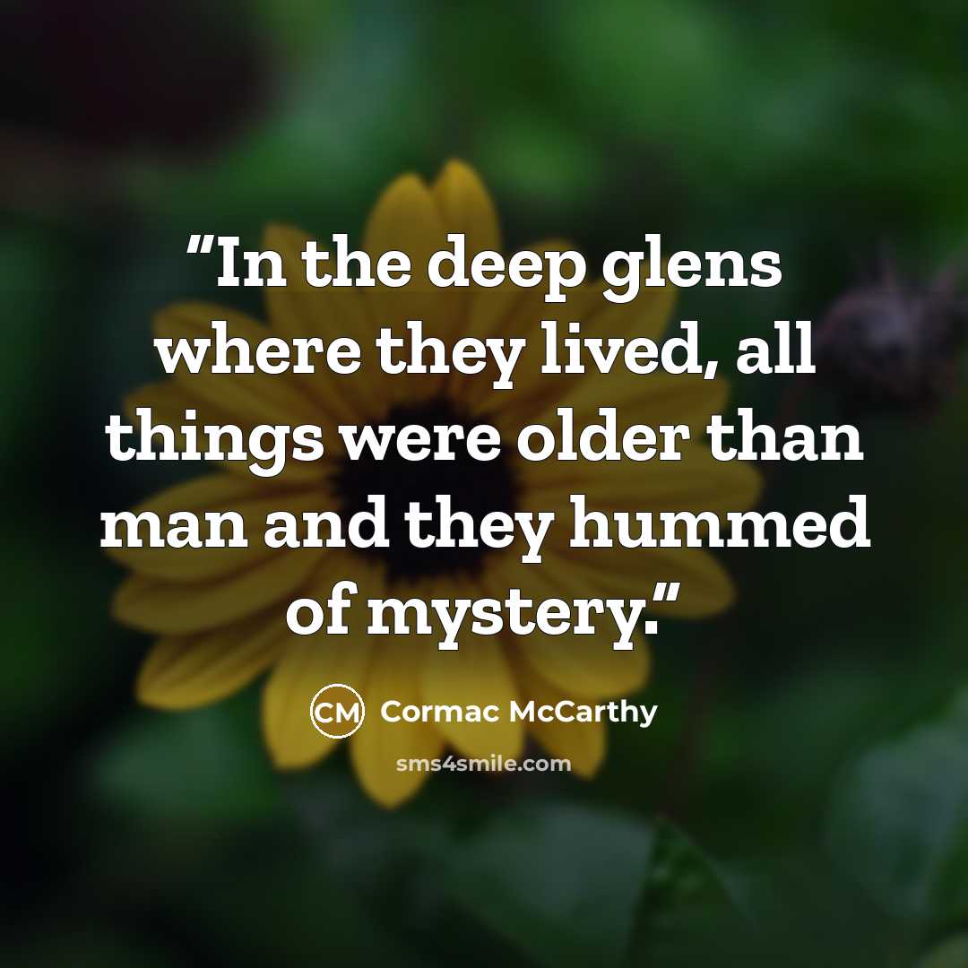 “In the deep glens where they lived, all things were older than man and they hummed of mystery.” quote by Cormac McCarthy