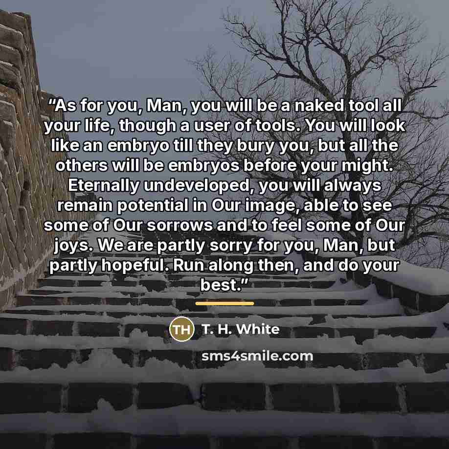“As for you, Man, you will be a naked tool all your life, though a user of tools. You will look like an embryo till they bury you, but all the others will be embryos before your might. Eternally undeveloped, you will always remain potential in Our image, able to see some of Our sorrows and to feel…” quote by T. H. White
