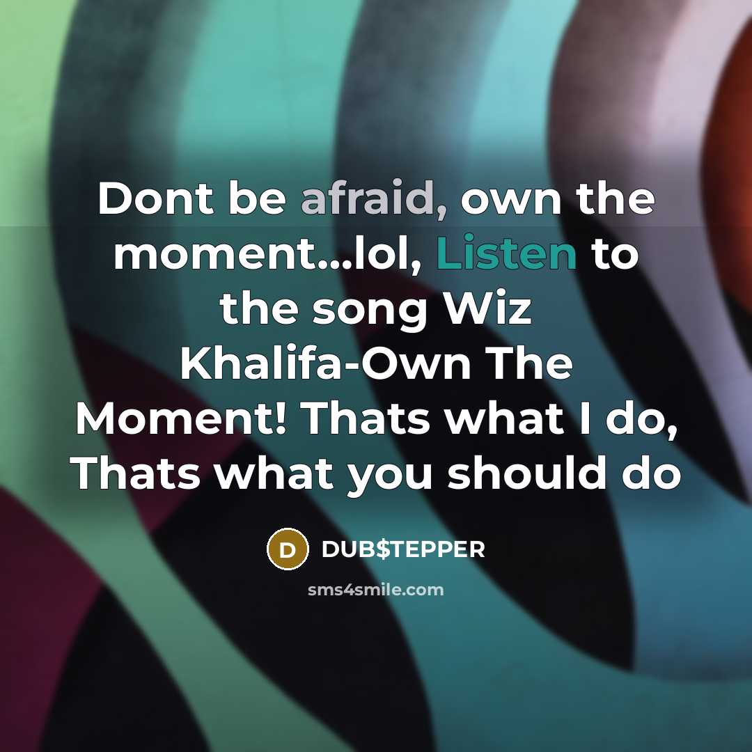 “Dont be afraid, own the moment…lol, Listen to the song Wiz Khalifa-Own The Moment! Thats what I do, Thats what you should do” quote by DUB$TEPPER
