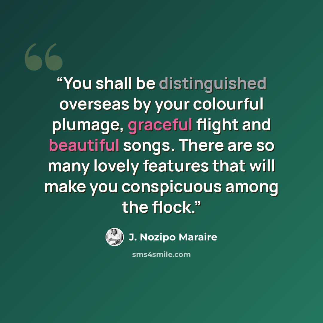 “You shall be distinguished overseas by your colourful plumage, graceful flight and beautiful songs. There are so many lovely features that will make you conspicuous among the flock.” quote by J. Nozipo Maraire