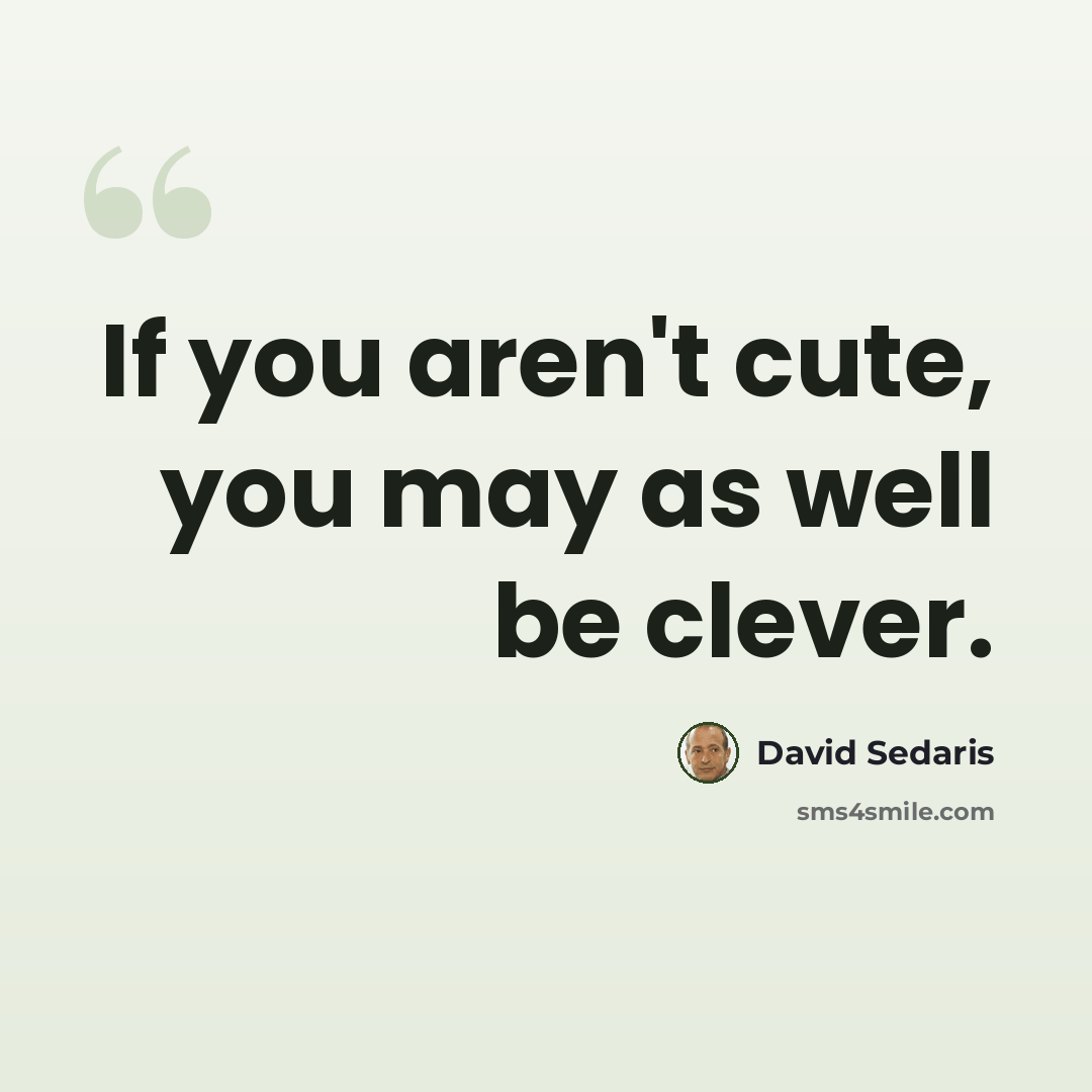 “If you aren't cute, you may as well be clever.” quote by David Sedaris