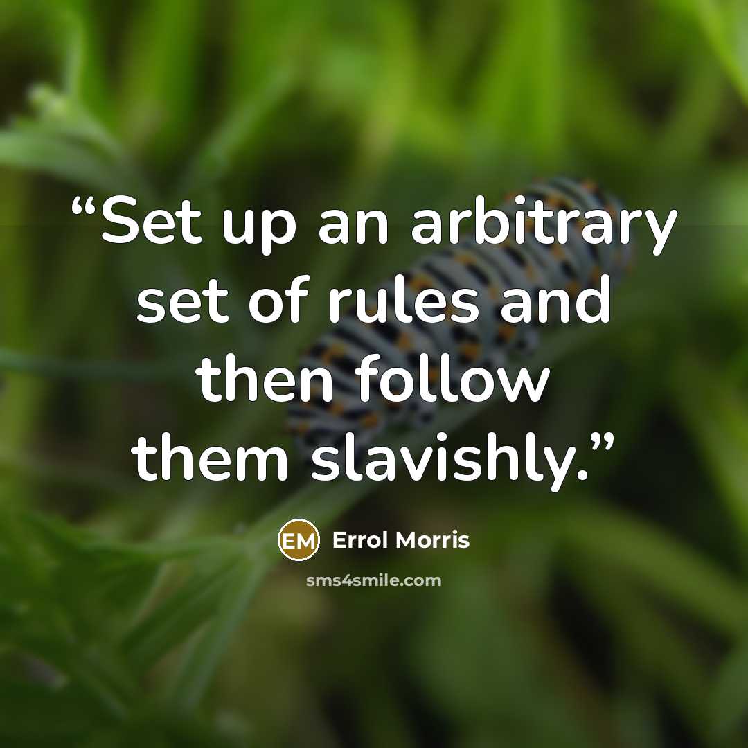 “Set up an arbitrary set of rules and then follow them slavishly.” quote by Errol Morris