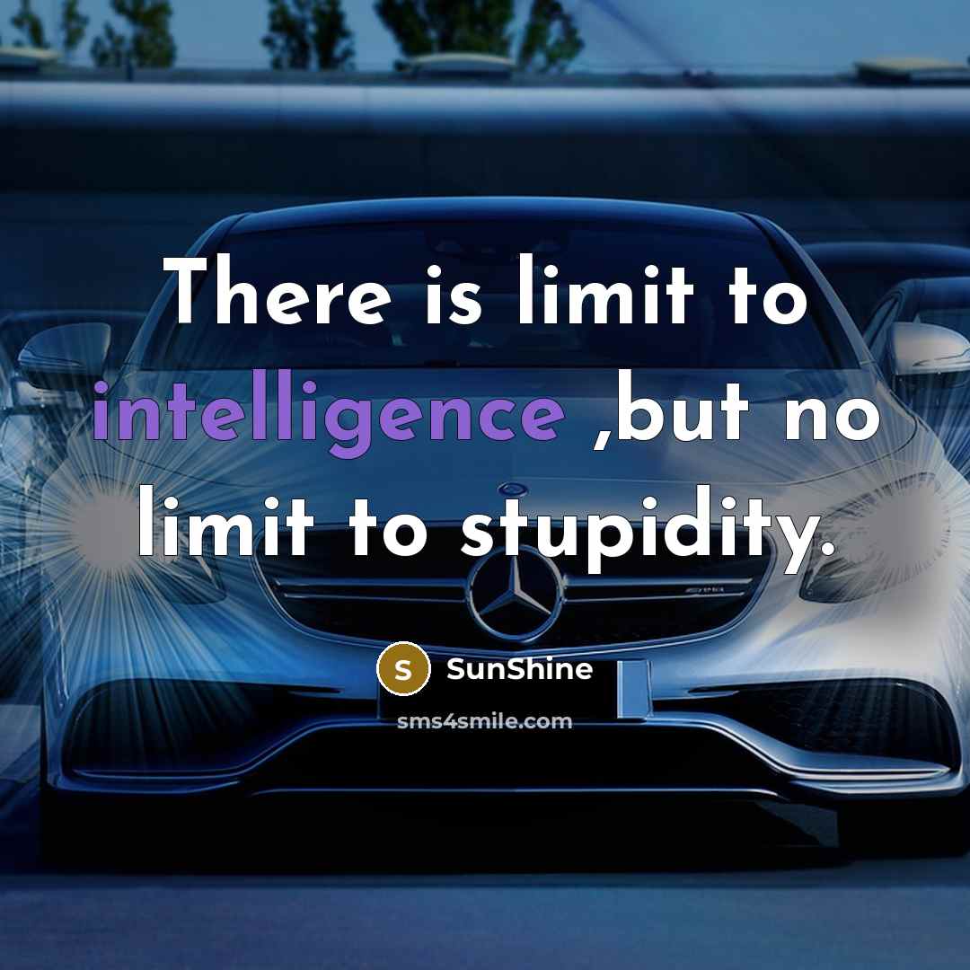 “There is limit to intelligence ,but no limit to stupidity.” quote by SunShine