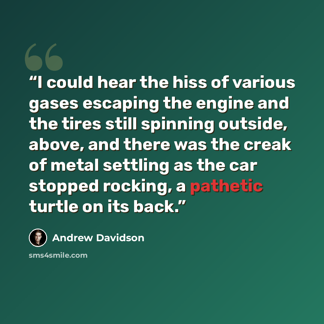 “I could hear the hiss of various gases escaping the engine and the tires still spinning outside, above, and there was the creak of metal settling as the car stopped rocking, a pathetic turtle on its back.” quote by Andrew Davidson
