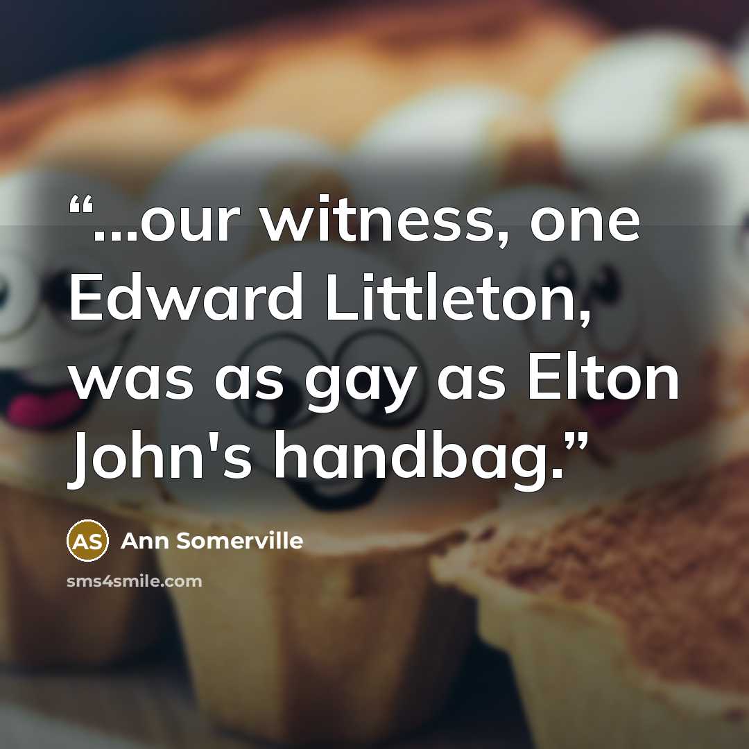 “...our witness, one Edward Littleton, was as gay as Elton John's handbag.” quote by Ann Somerville