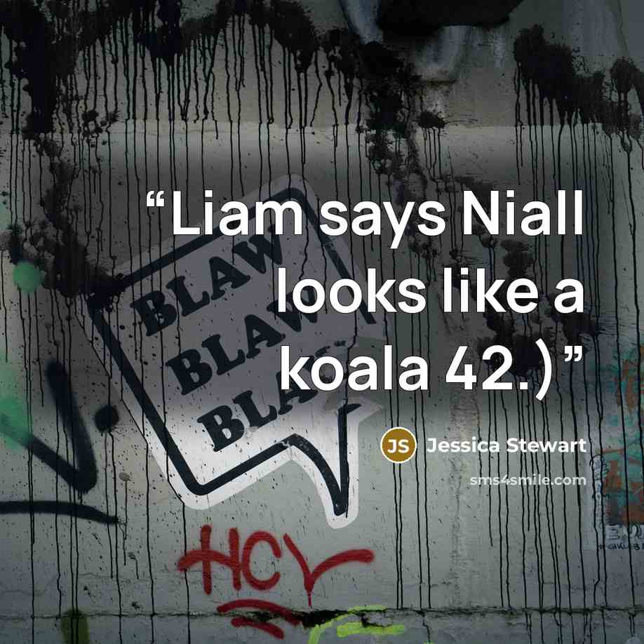 “Liam says Niall looks like a koala 42.)” quote by Jessica Stewart