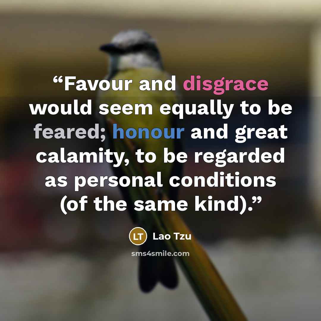 “Favour and disgrace would seem equally to be feared; honour and great calamity, to be regarded as personal conditions (of the same kind).” quote by Lao Tzu