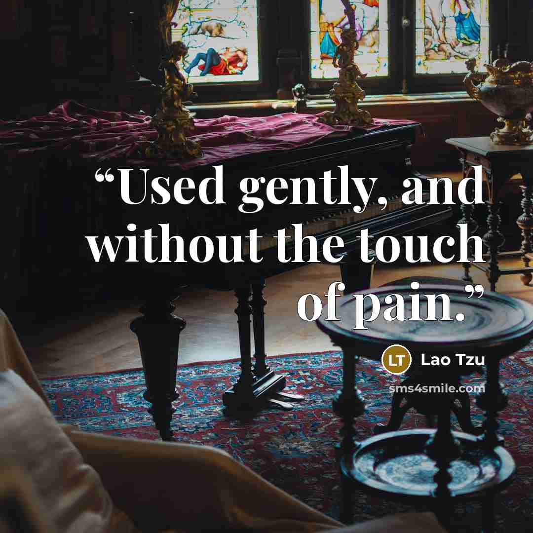 “Used gently, and without the touch of pain.” quote by Lao Tzu