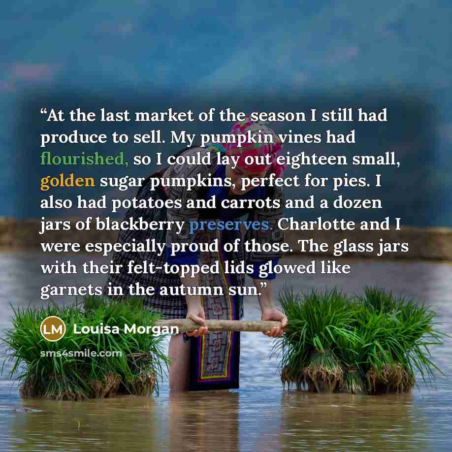 “At the last market of the season I still had produce to sell. My pumpkin vines had flourished, so I could lay out eighteen small, golden sugar pumpkins, perfect for pies. I also had potatoes and carrots and a dozen jars of blackberry preserves. Charlotte and I were especially proud of those. The…” quote by Louisa Morgan