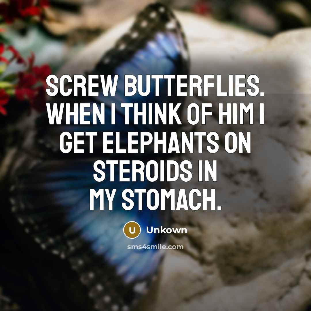 “Screw butterflies. When I think of him I get elephants on steroids in my stomach.” quote by Unkown