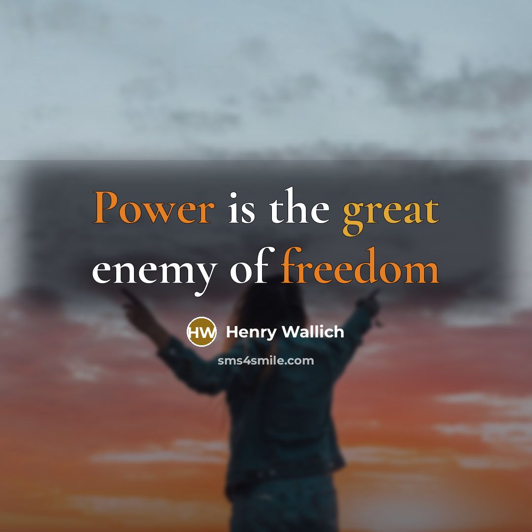 “Power is the great enemy of freedom” quote by Henry Wallich