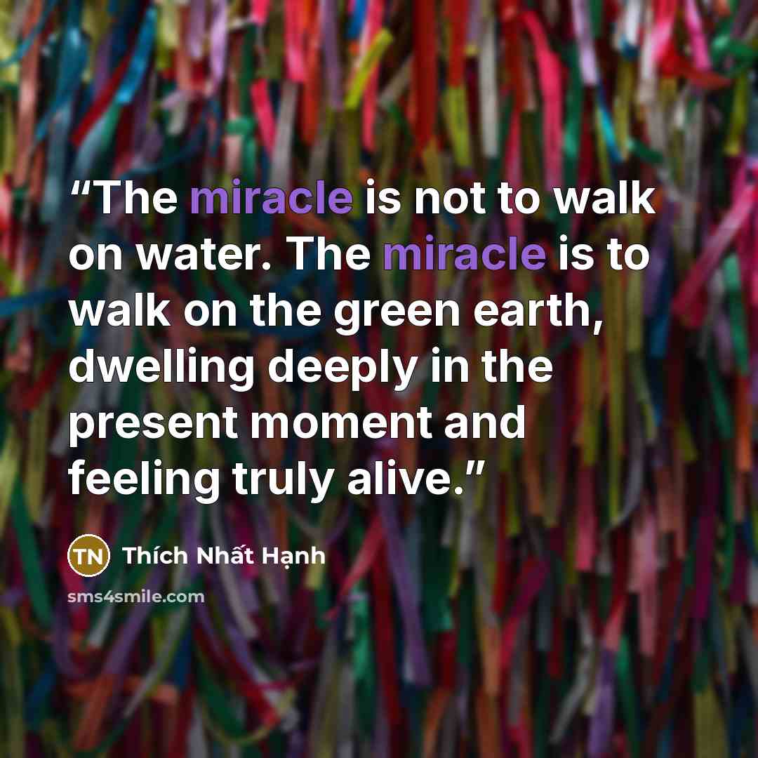 “The miracle is not to walk on water. The miracle is to walk on the green earth, dwelling deeply in the present moment and feeling truly alive.” quote by Thich Nhat Hanh