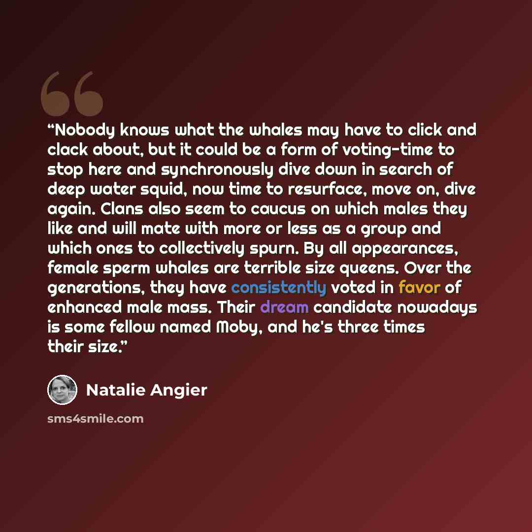 “Nobody knows what the whales may have to click and clack about, but it could be a form of voting-time to stop here and synchronously dive down in search of deep water squid, now time to resurface, move on, dive again. Clans also seem to caucus on which males they like and will mate with more or…” quote by Natalie Angier