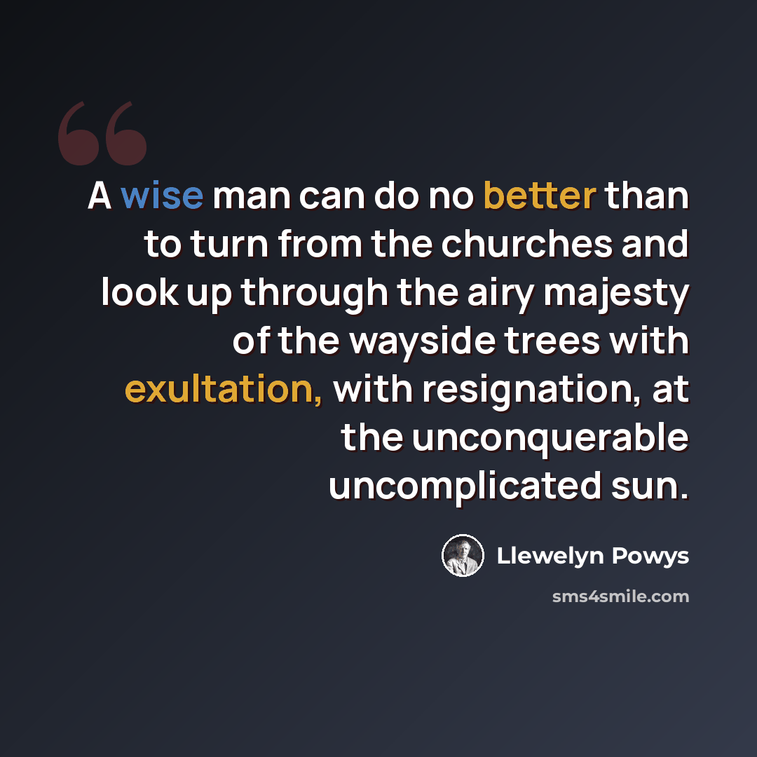 “A wise man can do no better than to turn from the churches and look up through the airy majesty of the wayside trees with exultation, with resignation, at the unconquerable uncomplicated sun.” quote by Llewelyn Powys