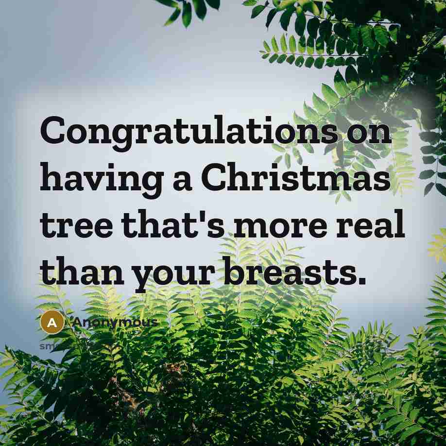“Congratulations on having a Christmas tree that's more real than your breasts.” quote by Anonymous
