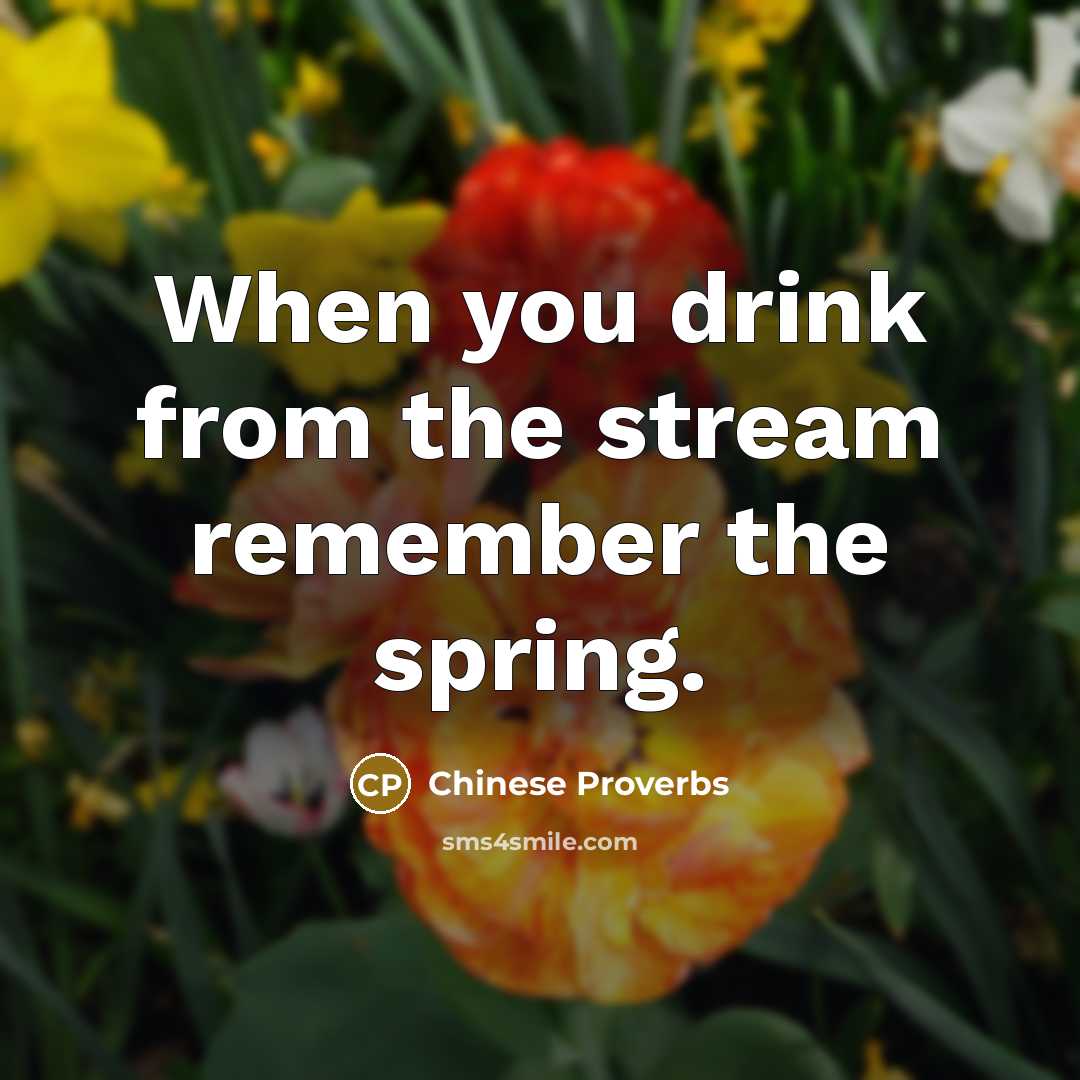 “When you drink from the stream remember the spring.” quote by Chinese Proverbs