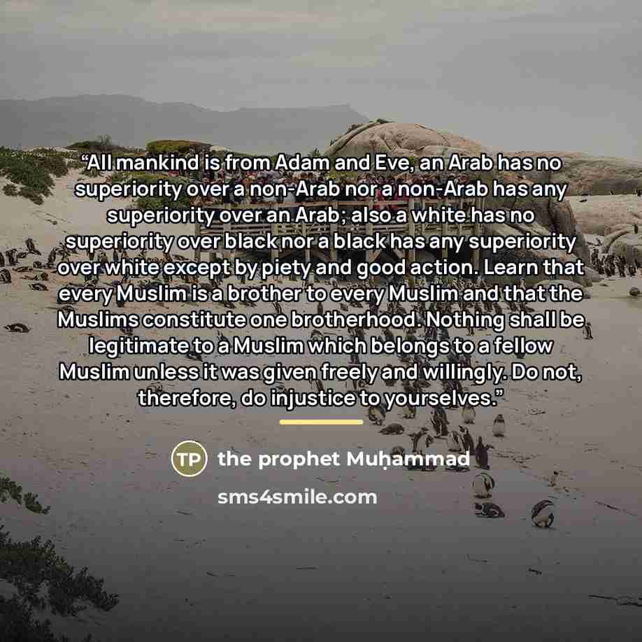 “All mankind is from Adam and Eve, an Arab has no superiority over a non-Arab nor a non-Arab has any superiority over an Arab; also a white has no superiority over black nor a black has any superiority over white except by piety and good action. Learn that every Muslim is a brother to every Muslim…” quote by Anonymous