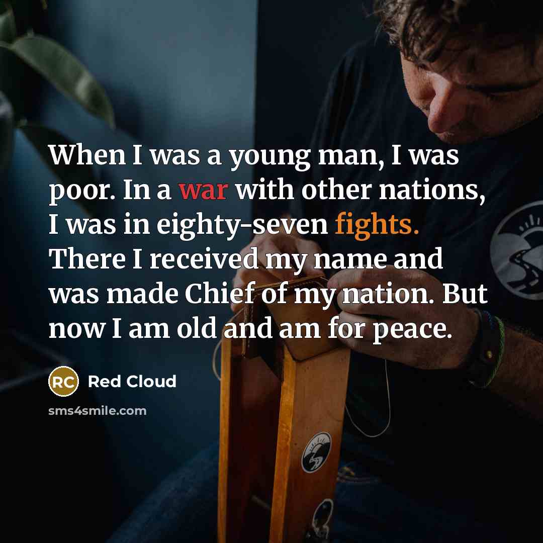 “When I was a young man, I was poor. In a war with other nations, I was in eighty-seven fights. There I received my name and was made Chief of my nation. But now I am old and am for peace.” quote by Red Cloud