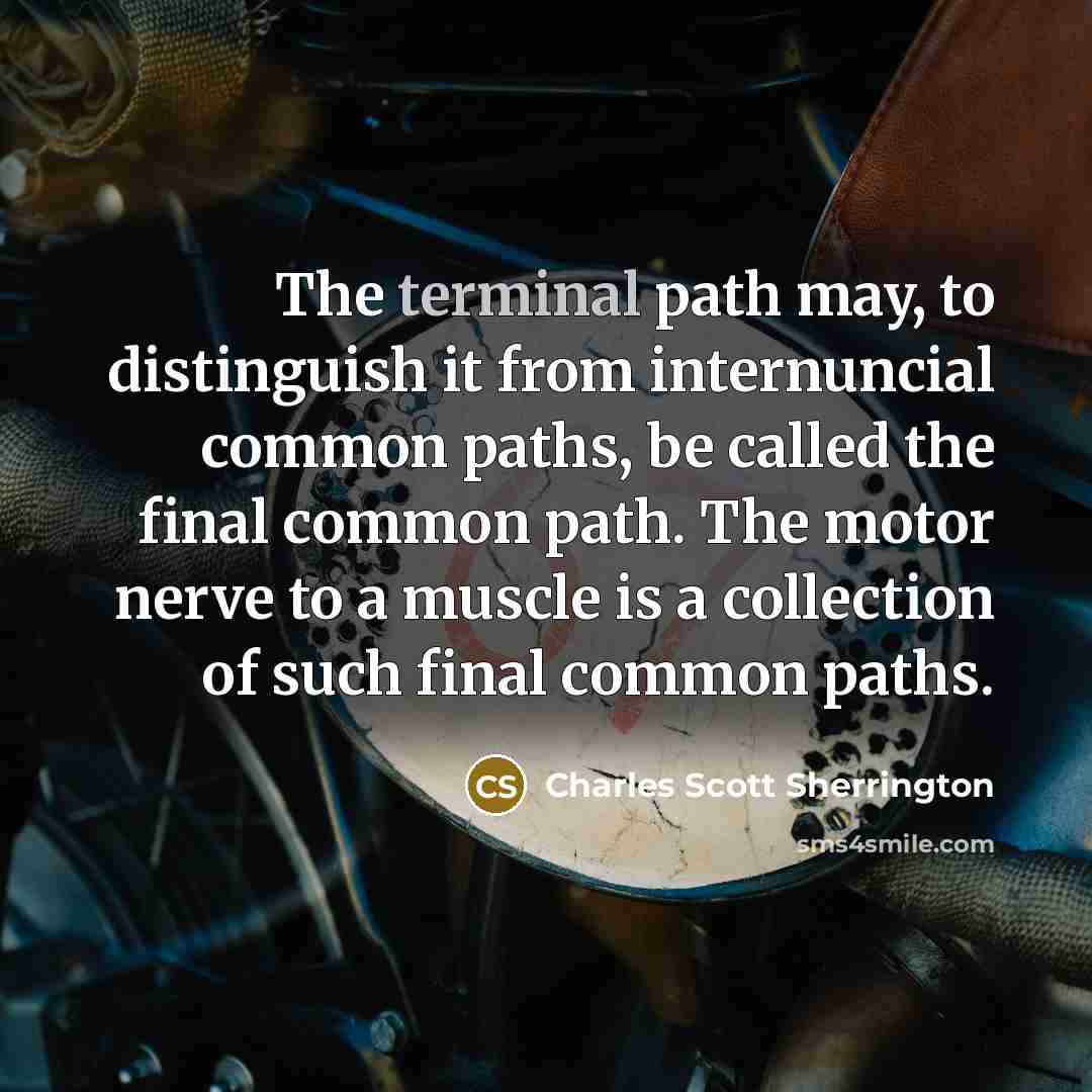 “The terminal path may, to distinguish it from internuncial common paths, be called the final common path. The motor nerve to a muscle is a collection of such final common paths.” quote by Charles Scott Sherrington