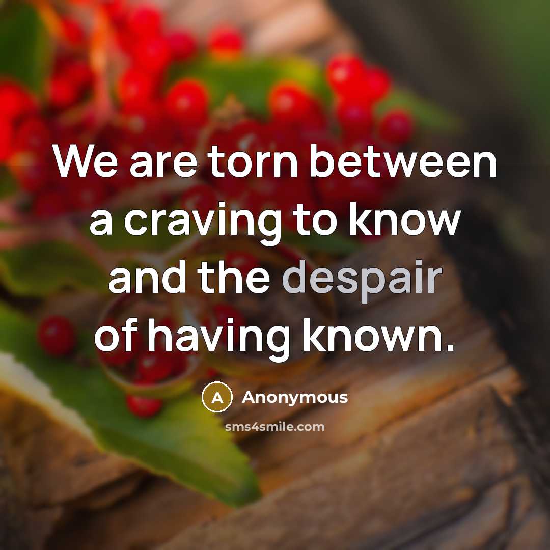 “We are torn between a craving to know and the despair of having known.” quote by Anonymous