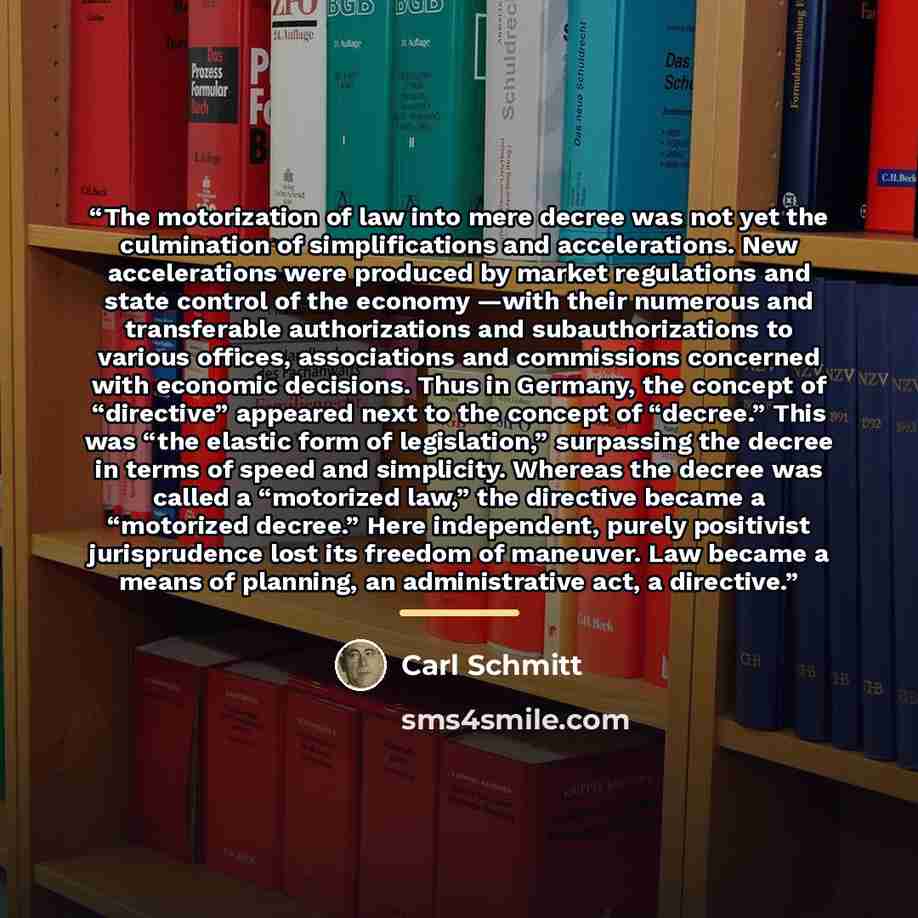 “The motorization of law into mere decree was not yet the culmination of simplifications and accelerations. New accelerations were produced by market regulations and state control of the economy —with their numerous and transferable authorizations and subauthorizations to various offices…” quote by Carl Schmitt