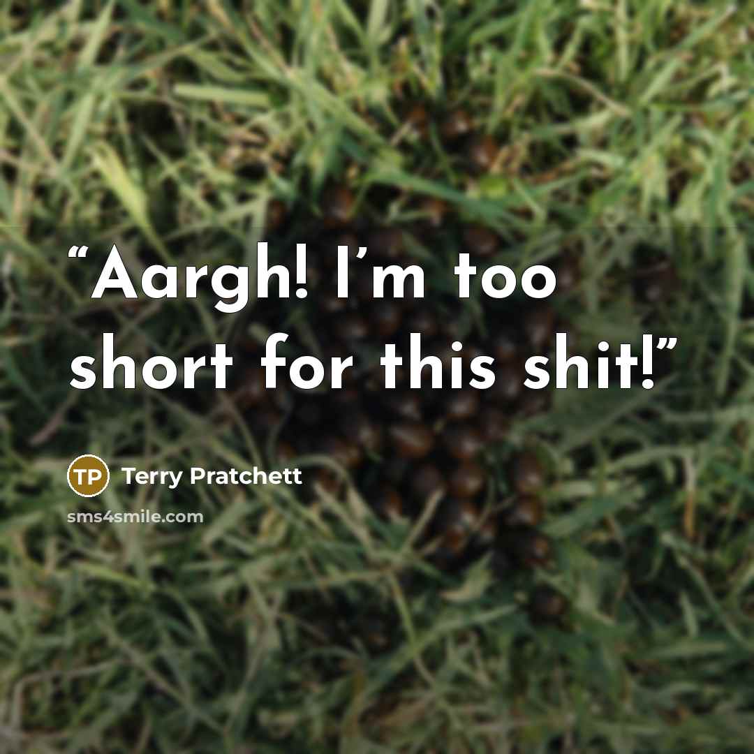 “Aargh! I’m too short for this shit!” quote by Terry Pratchett