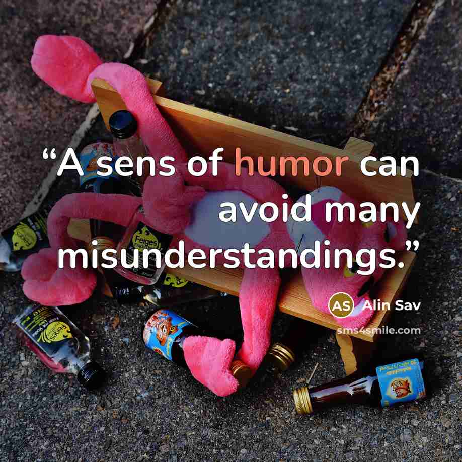 “A sens of humor can avoid many misunderstandings.” quote by Alin Sav
