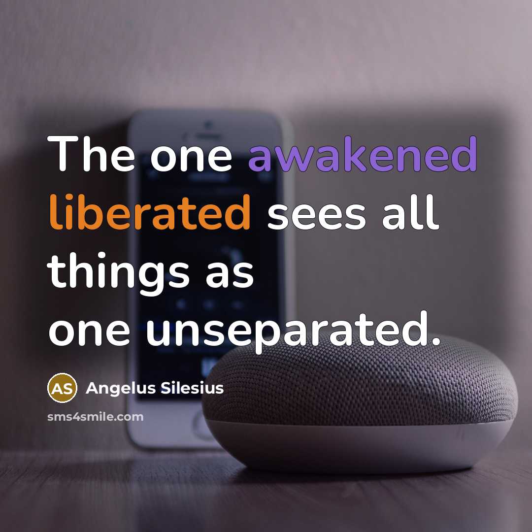 “The one awakened liberated sees all things as one unseparated.” quote by Angelus Silesius