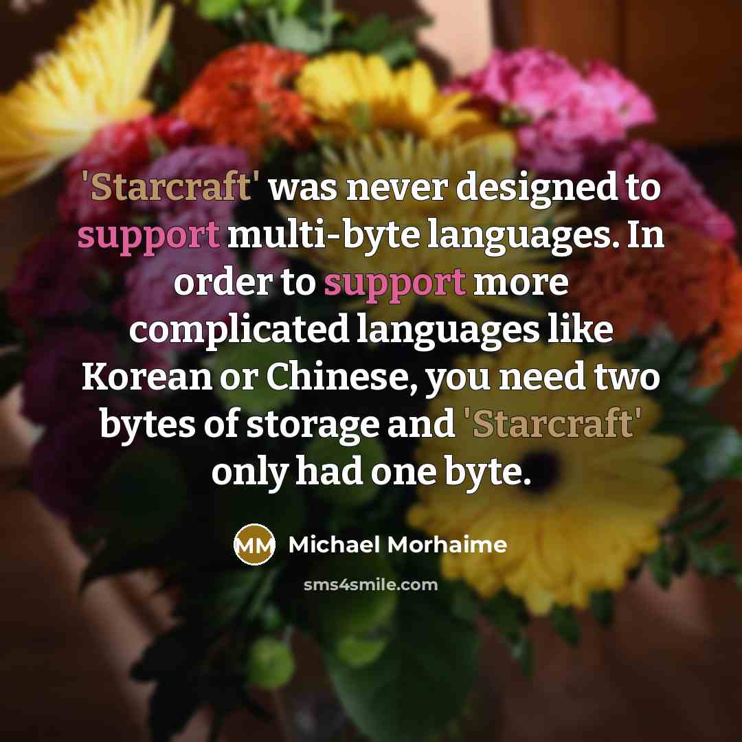 “'Starcraft' was never designed to support multi-byte languages. In order to support more complicated languages like Korean or Chinese, you need two bytes of storage and 'Starcraft' only had one byte.” quote by Michael Morhaime