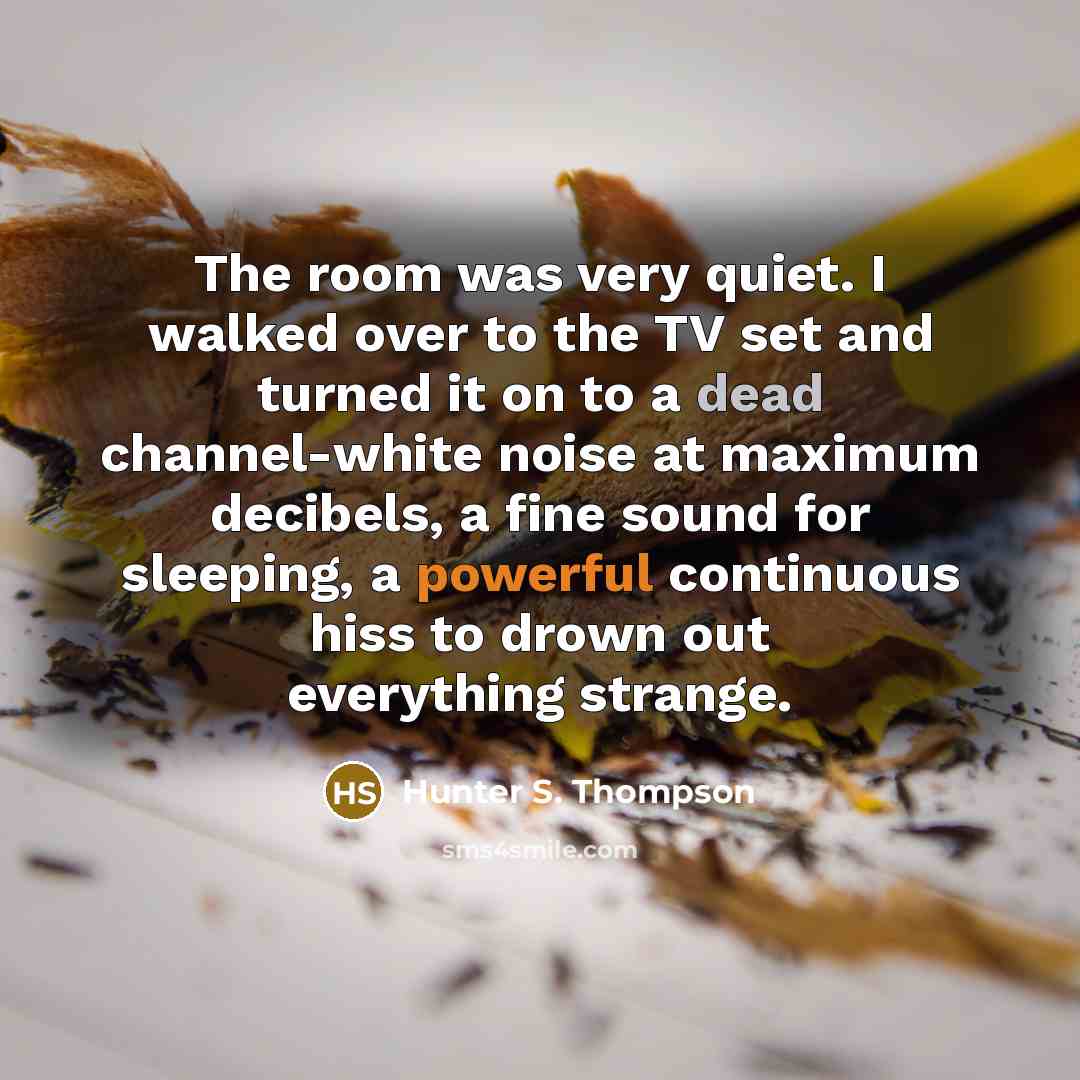 “The room was very quiet. I walked over to the TV set and turned it on to a dead channel-white noise at maximum decibels, a fine sound for sleeping, a powerful continuous hiss to drown out everything strange.” quote by Hunter S. Thompson