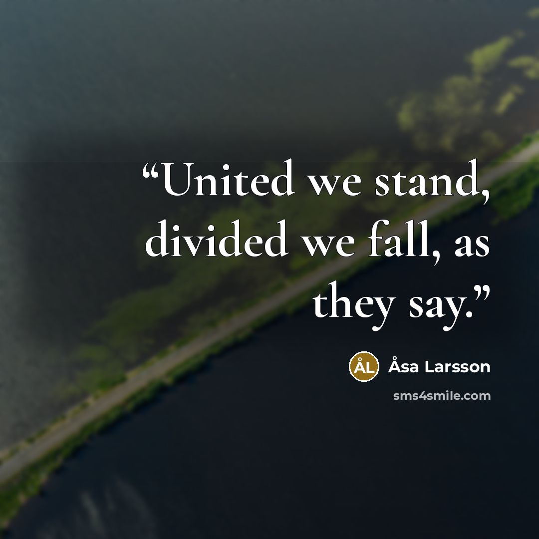 “United we stand, divided we fall, as they say.” quote by Åsa Larsson