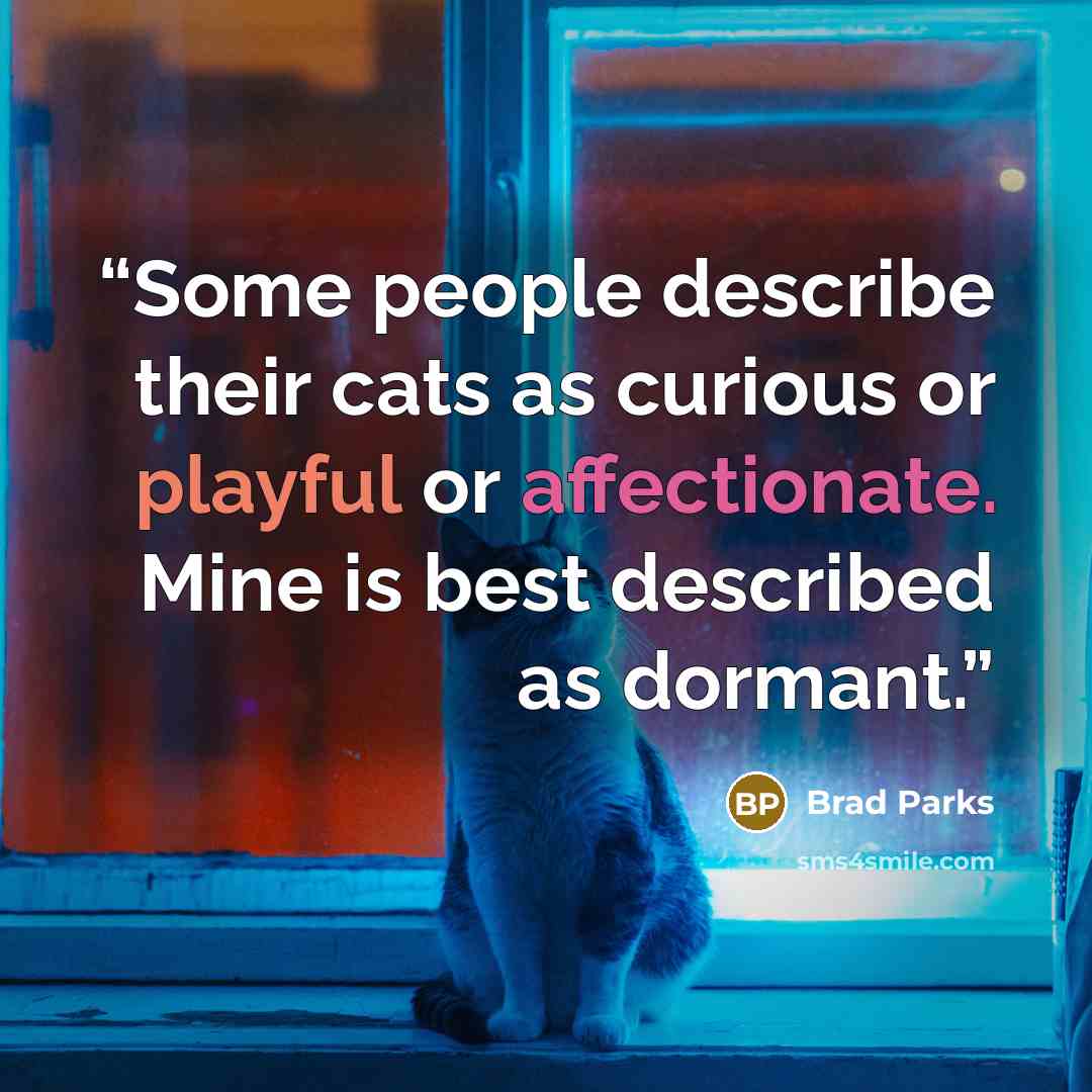 “Some people describe their cats as curious or playful or affectionate. Mine is best described as dormant.” quote by Brad Parks