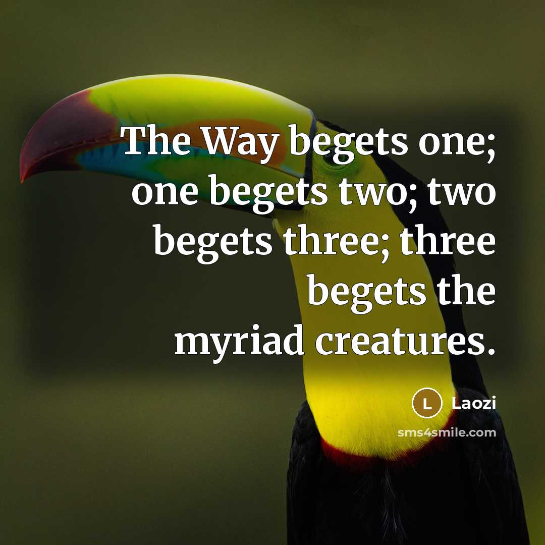 “The Way begets one; one begets two; two begets three; three begets the myriad creatures.” quote by Laozi