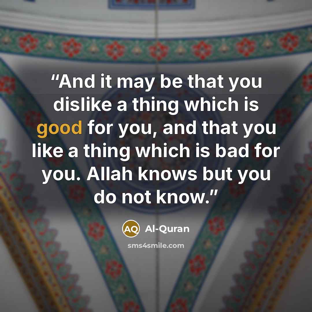 “And it may be that you dislike a thing which is good for you, and that you like a thing which is bad for you. Allah knows but you do not know.” quote by Al-Quran