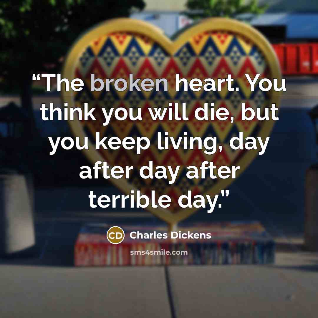 “The broken heart. You think you will die, but you keep living, day after day after terrible day.” quote by Charles Dickens