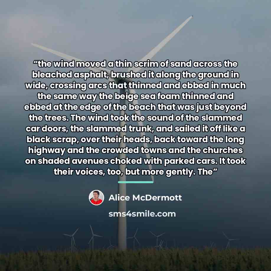 “the wind moved a thin scrim of sand across the bleached asphalt, brushed it along the ground in wide, crossing arcs that thinned and ebbed in much the same way the beige sea foam thinned and ebbed at the edge of the beach that was just beyond the trees. The wind took the sound of the slammed car…” quote by Alice McDermott