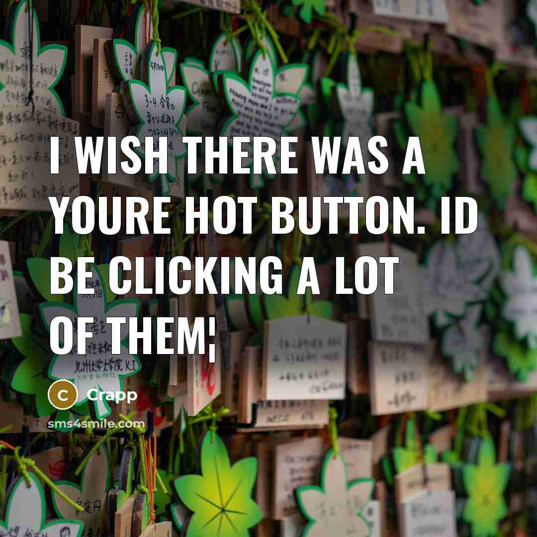 “I wish there was a Youre hot button. Id be clicking a lot of them¦” quote by Crapp