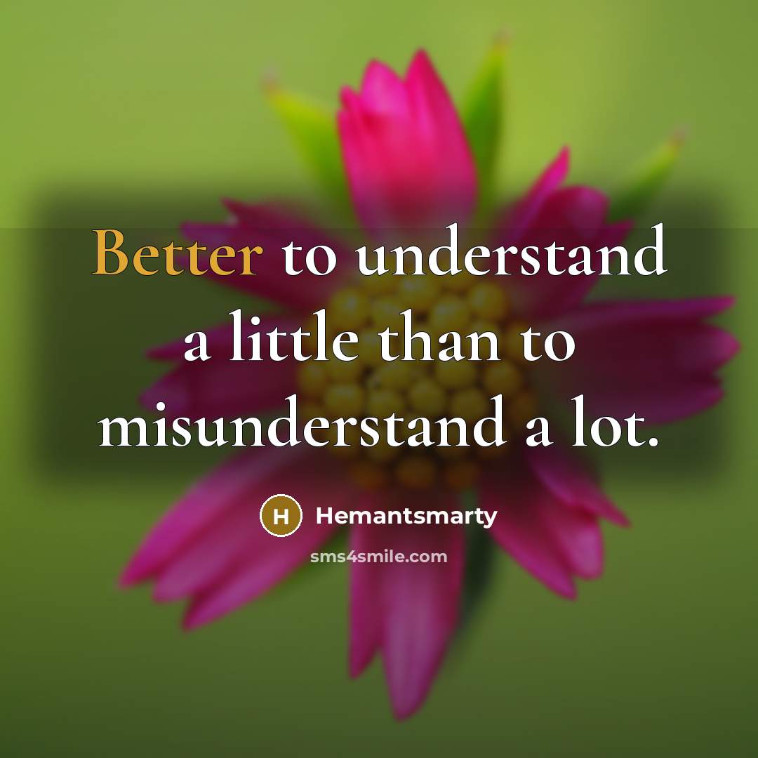 “Better to understand a little than to misunderstand a lot.” quote by Hemantsmarty