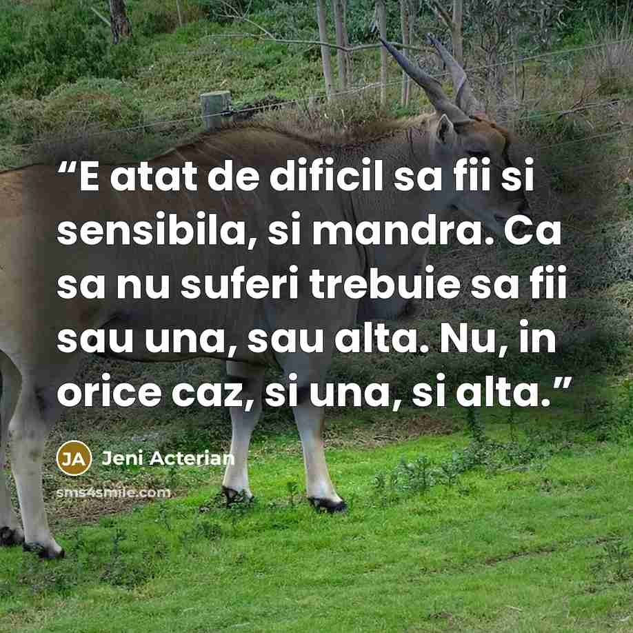 “E atat de dificil sa fii si sensibila, si mandra. Ca sa nu suferi trebuie sa fii sau una, sau alta. Nu, in orice caz, si una, si alta.” quote by Jeni Acterian